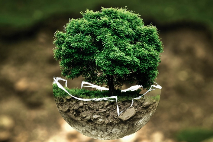 Green-Bond-Opportunity
