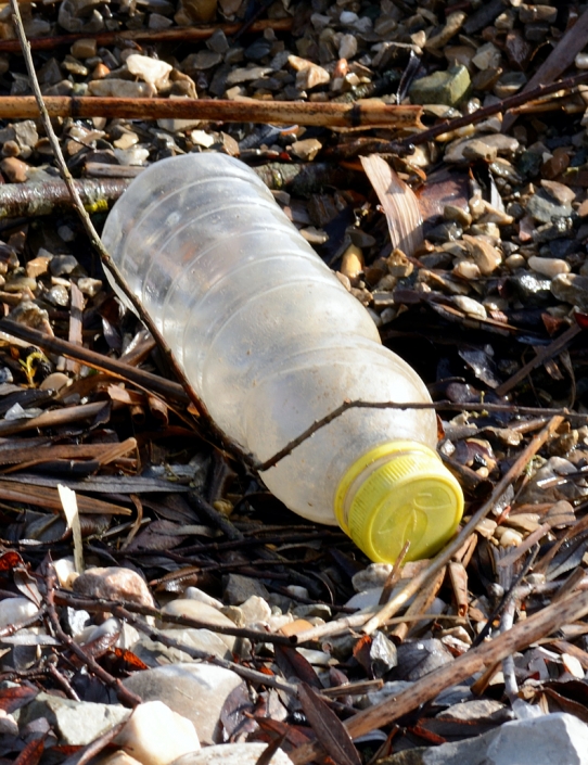 plastic-littering-bir