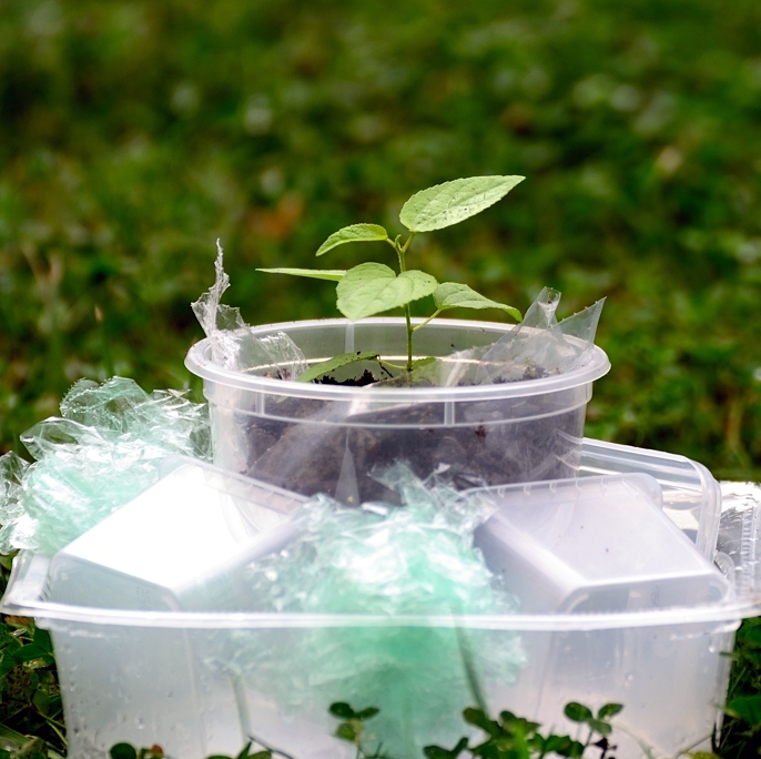 Saudi Investment Recycling Company Expands GLOBAL RECYCLING